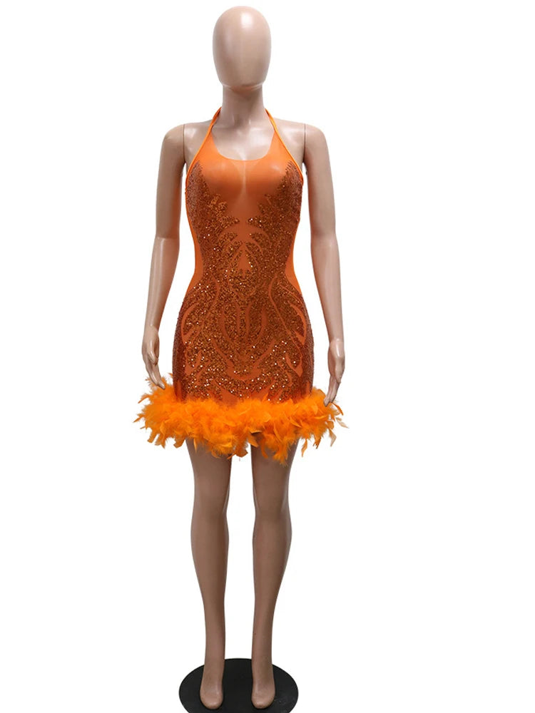 Beautiful Mesh Sequin Feather Glam Party Dress Glitter Sleeveless Night Out